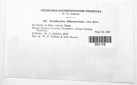 Image Associated With the Occurence